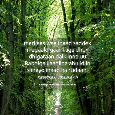 Picture 05 - Sharciga Kunoqoshadiisa 19:2 SOM - markaas waa inaad saddex magaalo gaar kaga dhex - Bible Verse Picture