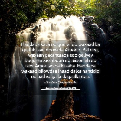 Picture 05 - Sharciga Kunoqoshadiisa 2:24 SOM - Haddaba kaca oo guura, oo waxaad ka gudubtaan - Bible Verse Picture