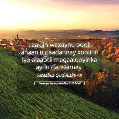 Picture 05 - Sharciga Kunoqoshadiisa 2:35 SOM - Laakiin waxaynu booli ahaan u qaadannay xoolihii - Bible Verse Picture