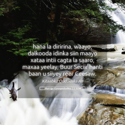 Picture 05 - Sharciga Kunoqoshadiisa 2:5 SOM - hana la diririna, waayo, dalkooda idinka siin - Bible Verse Picture