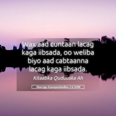 Picture 05 - Sharciga Kunoqoshadiisa 2:6 SOM - Wax aad cuntaan lacag kaga iibsada, oo weliba - Bible Verse Picture