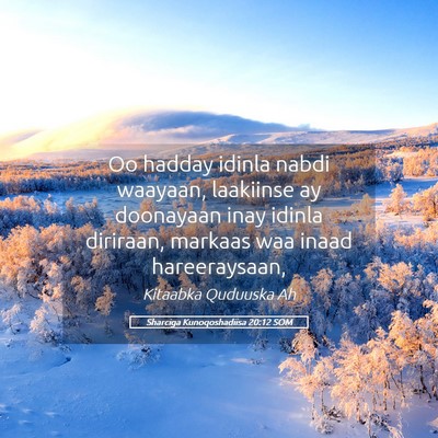 Picture 05 - Sharciga Kunoqoshadiisa 20:12 SOM - Oo hadday idinla nabdi waayaan, laakiinse ay - Bible Verse Picture