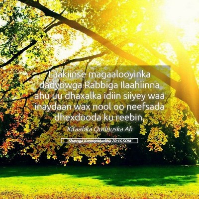 Picture 05 - Sharciga Kunoqoshadiisa 20:16 SOM - Laakiinse magaalooyinka dadyowga Rabbiga - Bible Verse Picture