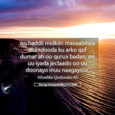 Picture 05 - Sharciga Kunoqoshadiisa 21:11 SOM - oo haddii midkiin maxaabiista dhexdooda ku arko - Bible Verse Picture