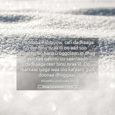 Picture 05 - Sharciga Kunoqoshadiisa 21:8 SOM - Haddaba Rabbiyow, cafi dadkaaga reer binu - Bible Verse Picture