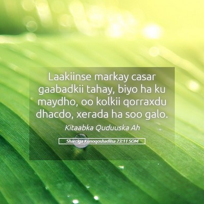 Picture 05 - Sharciga Kunoqoshadiisa 23:11 SOM - Laakiinse markay casar gaabadkii tahay, biyo ha - Bible Verse Picture
