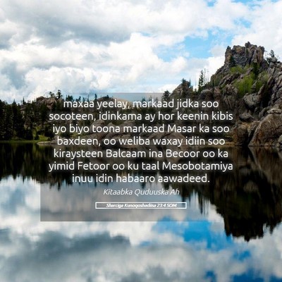 Picture 05 - Sharciga Kunoqoshadiisa 23:4 SOM - maxaa yeelay, markaad jidka soo socoteen, - Bible Verse Picture