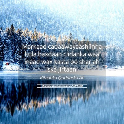 Picture 05 - Sharciga Kunoqoshadiisa 23:9 SOM - Markaad cadaawayaashiinna kula baxdaan ciidanka - Bible Verse Picture