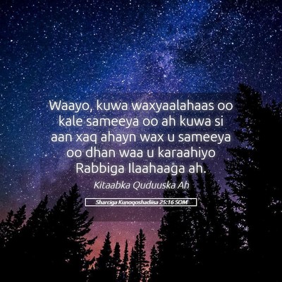 Picture 05 - Sharciga Kunoqoshadiisa 25:16 SOM - Waayo, kuwa waxyaalahaas oo kale sameeya oo ah - Bible Verse Picture