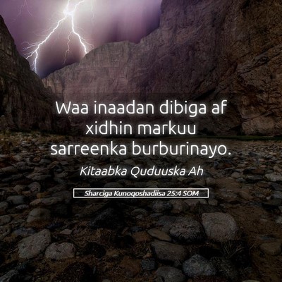 Picture 05 - Sharciga Kunoqoshadiisa 25:4 SOM - Waa inaadan dibiga af xidhin markuu sarreenka - Bible Verse Picture