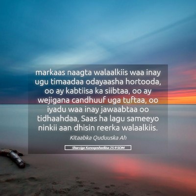 Picture 05 - Sharciga Kunoqoshadiisa 25:9 SOM - markaas naagta walaalkiis waa inay ugu timaadaa - Bible Verse Picture