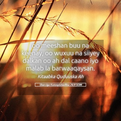 Picture 05 - Sharciga Kunoqoshadiisa 26:9 SOM - oo meeshan buu na keenay, oo wuxuu na siiyey - Bible Verse Picture