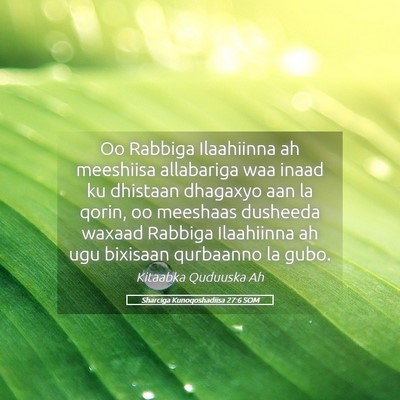 Picture 05 - Sharciga Kunoqoshadiisa 27:6 SOM - Oo Rabbiga Ilaahiinna ah meeshiisa allabariga waa - Bible Verse Picture