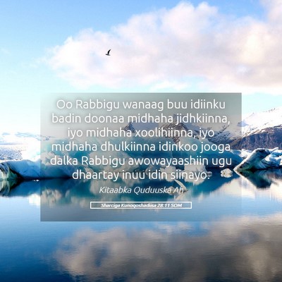 Picture 05 - Sharciga Kunoqoshadiisa 28:11 SOM - Oo Rabbigu wanaag buu idiinku badin doonaa - Bible Verse Picture