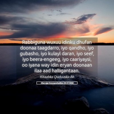 Picture 05 - Sharciga Kunoqoshadiisa 28:22 SOM - Rabbiguna wuxuu idinku dhufan doonaa taagdarro, - Bible Verse Picture