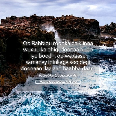 Picture 05 - Sharciga Kunoqoshadiisa 28:24 SOM - Oo Rabbigu roobka dalkiinna wuxuu ka dhigi doonaa - Bible Verse Picture