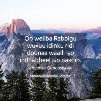 Picture 05 - Sharciga Kunoqoshadiisa 28:28 SOM - Oo weliba Rabbigu wuxuu idinku ridi doonaa waalli - Bible Verse Picture