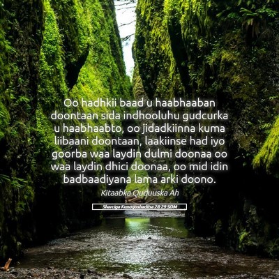 Picture 05 - Sharciga Kunoqoshadiisa 28:29 SOM - Oo hadhkii baad u haabhaaban doontaan sida - Bible Verse Picture