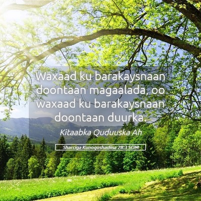 Picture 05 - Sharciga Kunoqoshadiisa 28:3 SOM - Waxaad ku barakaysnaan doontaan magaalada, oo - Bible Verse Picture