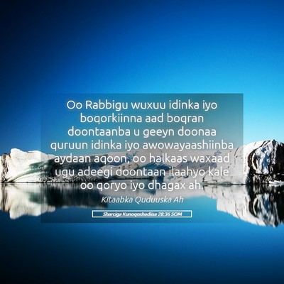 Picture 05 - Sharciga Kunoqoshadiisa 28:36 SOM - Oo Rabbigu wuxuu idinka iyo boqorkiinna aad - Bible Verse Picture