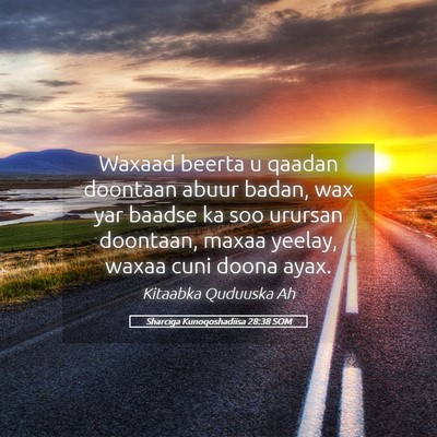Picture 05 - Sharciga Kunoqoshadiisa 28:38 SOM - Waxaad beerta u qaadan doontaan abuur badan, wax - Bible Verse Picture