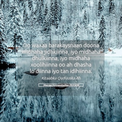 Picture 05 - Sharciga Kunoqoshadiisa 28:4 SOM - Oo waxaa barakaysnaan doona midhaha jidhkiinna, - Bible Verse Picture