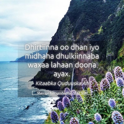 Picture 05 - Sharciga Kunoqoshadiisa 28:42 SOM - Dhirtiinna oo dhan iyo midhaha dhulkiinnaba waxaa - Bible Verse Picture