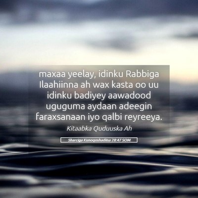 Picture 05 - Sharciga Kunoqoshadiisa 28:47 SOM - maxaa yeelay, idinku Rabbiga Ilaahiinna ah wax - Bible Verse Picture