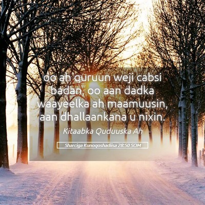 Picture 05 - Sharciga Kunoqoshadiisa 28:50 SOM - oo ah quruun weji cabsi badan, oo aan dadka - Bible Verse Picture