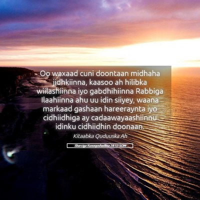 Picture 05 - Sharciga Kunoqoshadiisa 28:53 SOM - Oo waxaad cuni doontaan midhaha jidhkiinna, - Bible Verse Picture
