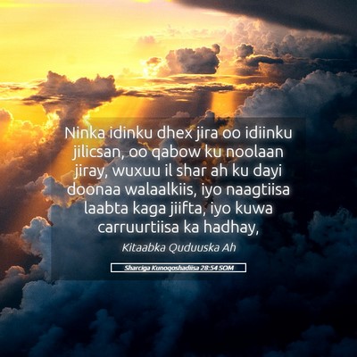 Picture 05 - Sharciga Kunoqoshadiisa 28:54 SOM - Ninka idinku dhex jira oo idiinku jilicsan, oo - Bible Verse Picture