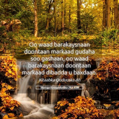 Picture 05 - Sharciga Kunoqoshadiisa 28:6 SOM - Oo waad barakaysnaan doontaan markaad gudaha soo - Bible Verse Picture