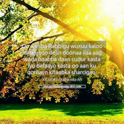 Picture 05 - Sharciga Kunoqoshadiisa 28:61 SOM - Oo weliba Rabbigu wuxuu kaloo idinku soo dejin - Bible Verse Picture
