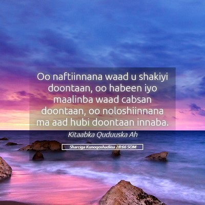 Picture 05 - Sharciga Kunoqoshadiisa 28:66 SOM - Oo naftiinnana waad u shakiyi doontaan, oo habeen - Bible Verse Picture