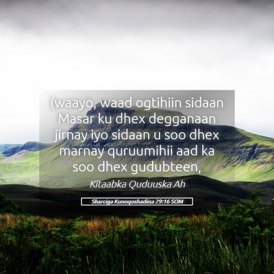 Picture 05 - Sharciga Kunoqoshadiisa 29:16 SOM - (waayo, waad ogtihiin sidaan Masar ku dhex - Bible Verse Picture