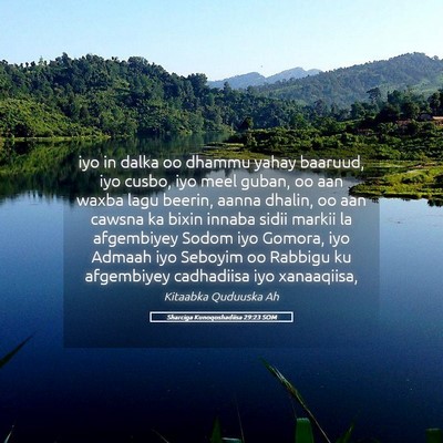 Picture 05 - Sharciga Kunoqoshadiisa 29:23 SOM - iyo in dalka oo dhammu yahay baaruud, iyo cusbo, - Bible Verse Picture