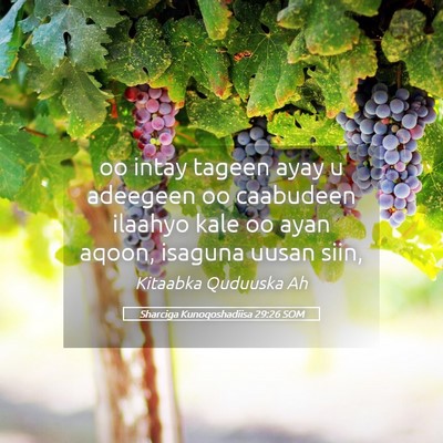 Picture 05 - Sharciga Kunoqoshadiisa 29:26 SOM - oo intay tageen ayay u adeegeen oo caabudeen - Bible Verse Picture