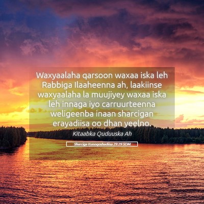 Picture 05 - Sharciga Kunoqoshadiisa 29:29 SOM - Waxyaalaha qarsoon waxaa iska leh Rabbiga - Bible Verse Picture