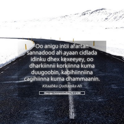 Picture 05 - Sharciga Kunoqoshadiisa 29:5 SOM - Oo anigu intii afartan sannadood ah ayaan cidlada - Bible Verse Picture