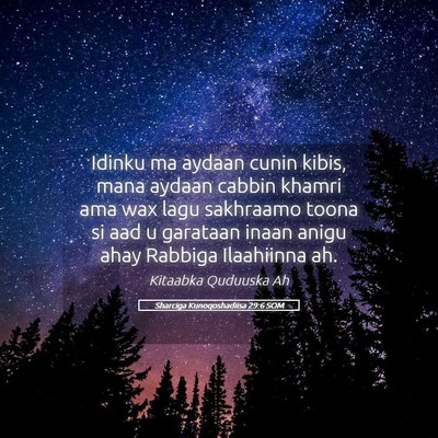 Picture 05 - Sharciga Kunoqoshadiisa 29:6 SOM - Idinku ma aydaan cunin kibis, mana aydaan cabbin - Bible Verse Picture