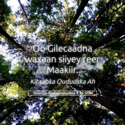 Picture 05 - Sharciga Kunoqoshadiisa 3:15 SOM - Oo Gilecaadna waxaan siiyey reer - Bible Verse Picture