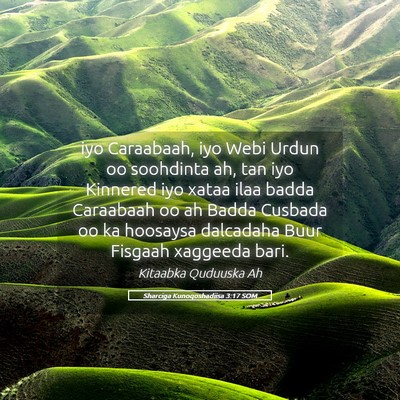 Picture 05 - Sharciga Kunoqoshadiisa 3:17 SOM - iyo Caraabaah, iyo Webi Urdun oo soohdinta ah, - Bible Verse Picture