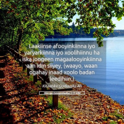 Picture 05 - Sharciga Kunoqoshadiisa 3:19 SOM - Laakiinse afooyinkiinna iyo yaryarkiinna iyo - Bible Verse Picture
