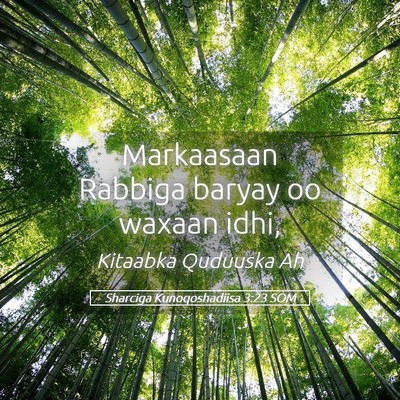Picture 05 - Sharciga Kunoqoshadiisa 3:23 SOM - Markaasaan Rabbiga baryay oo waxaan - Bible Verse Picture