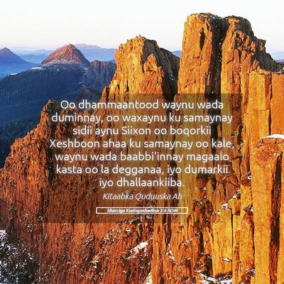 Picture 05 - Sharciga Kunoqoshadiisa 3:6 SOM - Oo dhammaantood waynu wada duminnay, oo waxaynu - Bible Verse Picture
