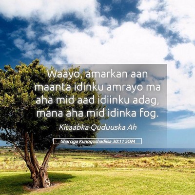 Picture 05 - Sharciga Kunoqoshadiisa 30:11 SOM - Waayo, amarkan aan maanta idinku amrayo ma aha - Bible Verse Picture