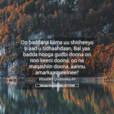 Picture 05 - Sharciga Kunoqoshadiisa 30:13 SOM - Oo baddana kama uu shisheeyo si aad u - Bible Verse Picture