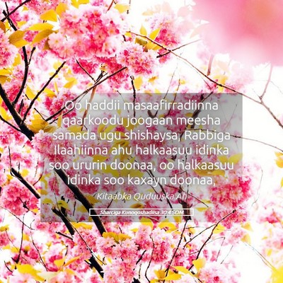 Picture 05 - Sharciga Kunoqoshadiisa 30:4 SOM - Oo haddii masaafirradiinna qaarkoodu joogaan - Bible Verse Picture