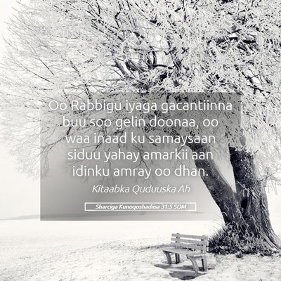 Picture 05 - Sharciga Kunoqoshadiisa 31:5 SOM - Oo Rabbigu iyaga gacantiinna buu soo gelin - Bible Verse Picture