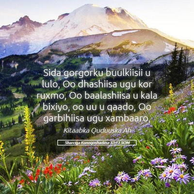 Picture 05 - Sharciga Kunoqoshadiisa 32:11 SOM - Sida gorgorku buulkiisii u lulo, Oo dhashiisa ugu - Bible Verse Picture